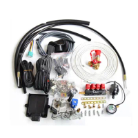 ACT automotive Petrol convert to CNG LPG gas conversion kits for petrol engine car sequential cng conversion kit 4 cylinder