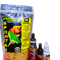 PAKET GACOR SPONTAN UNTUK LOVEBIRD