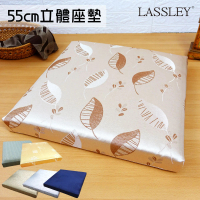 LASSLEY 二入組-55cm立體座墊(客廳 坐墊 厚墊 椅墊 大方墊 和室 沙發墊 台灣製造)