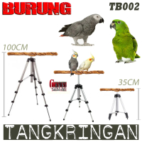 TB002 TANGKRINGAN BURUNG TENGGERAN RESIN PARROT PARBENG MACAW KAKATUA