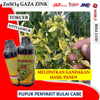 obat penyakit bulai cabe paling bagus ZnSO4 GAZA ZINK SULFATE ANTI JAMUR  ampuh dapat menjaga imunit