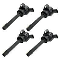 Gegelung Pencucuhan, F01R00A052, untuk HAVAL H6 2013-2018, M6 dan H2S 2016, Jolion 2020 / GWM, Dindi
