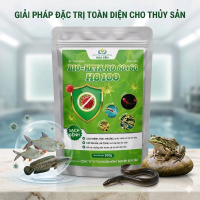 ​Chế Phẩm HS100 – Trị Xuất Huyết, Nấm. Lỡ Loét, Gan Thận Mũ, Giúp Cá Ếch Lươn Khỏe Mạnh (Gói 250g)