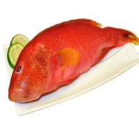 【北海漁鋪】野生紅條石斑300-350g*3包(紅條石斑)