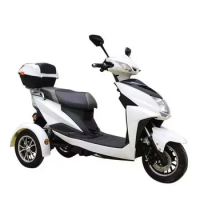 Electric Tricycle 3 Wheel Electric Scooter Three Wheel Scooter for Elderly Moped