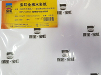 寶虹全棉水彩紙 中粗 紋300g 10張入/ 4K【領券滿額再折千6/30止】