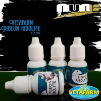 Rebolyte 10ml Vitamin Doping Merpati Original by Vetafarm untuk Meningkatkan Stamina dan Tenaga saat