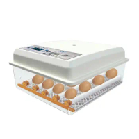 Full-automatic Small Household 16 Eggs Incubator for Peacock Duck Goose Egg Quail Chicken 220V Incubator