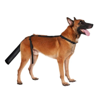 Pet Dog Tail Protector for Injury, Shedding, Grooming Treatment, Anti-Lick and Bite, Adjustable Prot