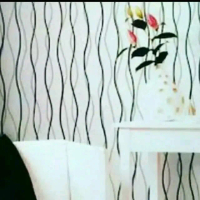 roll cat motif garis simple