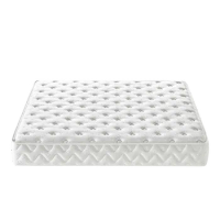 Queen Size Mattress Memory Foam Double Bed Size Permeable Support Anti Slip Spring Mattress Waterproof Matelas Salon Furniture