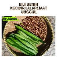 100 biji benih cipir / kecipir lalap / jaat unggul