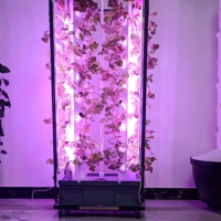 LED Grow Light Nft Hydroponics System Indoor Aeroponic Twin Tower