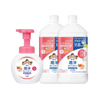 日本獅王LION 趣淨抗菌洗手慕斯 250ml/450ml/800ml 多入組#果香250mlx1+800mlx2-果香250mlx1+800mlx2