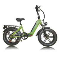 Kalosse 48V 750W Alloy 20*4.0 Electric Beach Bike Electrical Snow Bike Fat Bicycle
