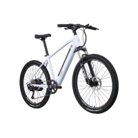 【LAZARA】RM1 Ebike 平把多地形電輔車(電輔車/E-BIKE/登山車)