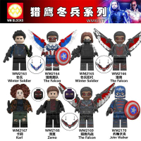 Khối Xây Dựng, Tương Thích Với LEGO, Dòng Chiến Binh Mùa Đông Falcon, Đội Trưởng Falcon, Chiến Binh 