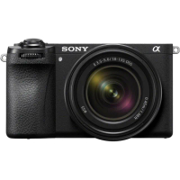 【SONY 索尼】ILCE-6700M A6700M A6700 KIT 附 18-135mm 旅遊鏡組(公司貨 APS-C 無反微單眼數位相機)