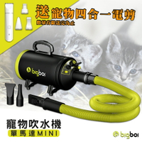 送寵物電剪☆bigboi MINI單馬達吹水機 吹毛機 溫控吹乾 寵物美容 寵物清潔 寵物店