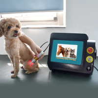 Low level laser therapy 980nm diode laser veterinary medicine pet laser therapy for veterinary clinic animal physiotherapy