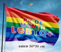 ธง PRIDE LGPTQ ขนาด 50x30 cm  ผ้าร่ม