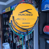 Raket Hundred Thunderbolt Badminton
