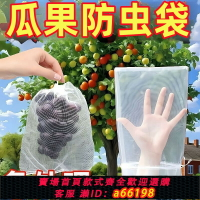 【台灣公司 可開發票】水果套袋防鳥通用袋瓜果防蟲專用袋無花果枇杷葡萄桃子草莓育苗袋