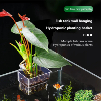 A HOT  Hanging Aquarium Planter Cups Wall Mounted Aquatic Plants Holder Aquarium Planter Basket Fish