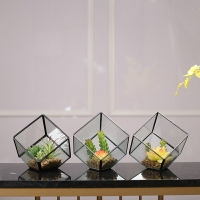 北歐玻璃罩花房微景觀多肉植物永生花女生房間宿舍裝飾品擺件禮物