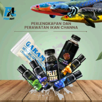 Paket Lengkap Perawatan dan Pengobatan Ikan Channa  | Paket Perawatan Ikan Channa