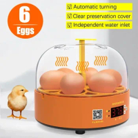 Egg Incubator Chicken Small Household Fully Automatic Egg Incubator Intelligent Digital Temp Control Turning Incubator