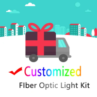 Fiber Optic Light