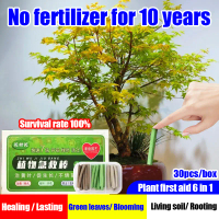 Plants Fertilizer Stick flower fertilizer 30pcs/box Plant first aid bunga Healing /Lasting/Green lea