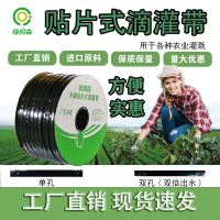 {臺灣公司貨 可打統編}滴灌帶農用滴灌管滴水管雙孔貼片式滴灌帶雙孔滴灌帶新款大棚滴灌