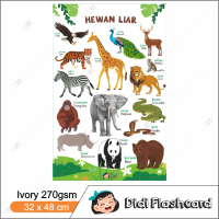 Poster Hewan Liar - Poster Belajar Edukasi Anak Bilingual Didi