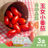 【家購網嚴選】溫室玉女小番茄 4斤/盒-3盒