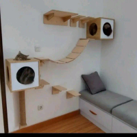 box kucing dinding