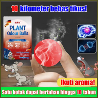 Kamper pengusir tikus ampuh 100% kapur barus anti tikus kamper pengusir tikus kecoa super ampuh alat
