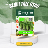 Benih Biji Bibit TALL UTAH PREMIUM SEED Seledri Batang Besar Celery