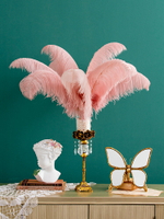 收獲小屋歐式復古浪漫玫瑰花器鴕鳥羽毛梳妝臺擺件客廳邊幾裝飾品