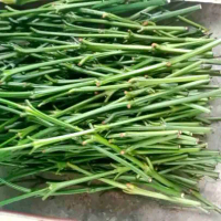 entres kopi robusta unggul 100 biji 150000