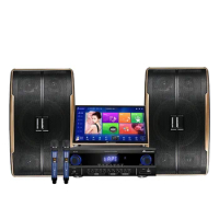 19" Wifi Touch Screen 4TB Karaoke Machine System Speaker Amplifier and Wireless Microphone Player