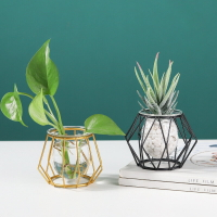 批發歐式ins 鐵藝花架水培玻璃花瓶創意家居桌面裝飾植物插花擺件