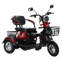 Wholesale 3 Wheel Electric Scooters Adult Moto Electric Tricycles