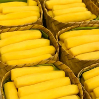 Tape Singkong Mentega Manis