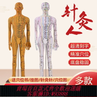 {臺灣公司貨 可打統編}針灸穴位人體模型經絡穴位模特圖全身中醫十二銅人扎針練習小皮人
