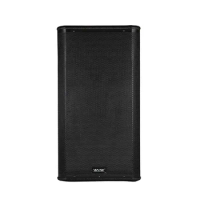 15 inch classD 1000w Active speaker