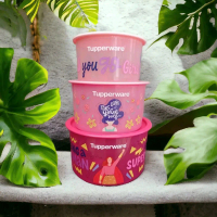 Wadah Tempat Toples Makanan Kue Cemilan Snack Power Canister Set Tupperware Tuppy Murah