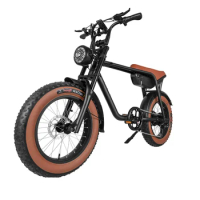 20inch DOGEBOS K3 250W 750W electric bicycle fat tire e-bike for adults 48v 45km/h off road city ebike fatbike in EU warehouse