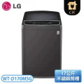 LG 樂金 WT-D170MSG 17公斤 直立式變頻洗衣機